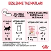 Royal Canin Kitten Jelly Pouch Yavru Kedi Yaş Maması 85 Gr