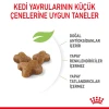 Royal Canin Kitten Yavru Kedi Maması 2 Kg