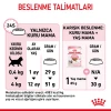 Royal Canin Kitten Yavru Kedi Maması 2 Kg