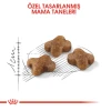 Royal Canin Kitten Yavru Kedi Maması 4 Kg