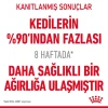 Royal Canin Light Weight Care Yetişkin Kedi Maması 1.5 Kg