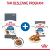 Royal Canin Light Weight Care Yetişkin Kedi Maması 1.5 Kg