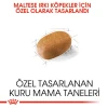 Royal Canin Maltese Adult Yetişkin Köpek Maması 1.5 Kg