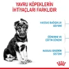 Royal Canin Maxi Puppy Büyük Irk Yavru Köpek Maması 15 Kg