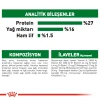 Royal Canin Mini Adult 8+ Yaşlı Köpek Maması 2 Kg
