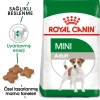 Royal Canin Mini Adult Küçük Irk Yetişkin Köpek Maması 2 Kg