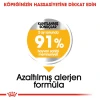 Royal Canin Mini Dermacomfort Yetişkin Köpek Maması 3 Kg