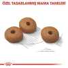 Royal Canin Mini Light Weight Care Diyet Köpek Maması 3 Kg