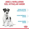 Royal Canin Mini Starter Mother & Babydog Yavru Köpek Maması 1 Kg