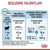 Royal Canin Mini Starter Mother & Babydog Yavru Köpek Maması 4 Kg
