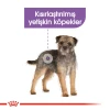 Royal Canin Mini Sterilised Kısırlaştırılmış Yetişkin Köpek Maması 3 Kg