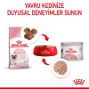 Royal Canin Mother & Babycat Yavru Kedi Konserve Maması 195 Gr
