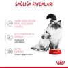 Royal Canin Mother & Babycat Yavru Kedi Konserve Maması 195 Gr