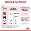 Royal Canin Mother & Babycat Yavru Kedi Maması 2 Kg