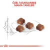 Royal Canin Mother & Babycat Yavru Kedi Maması 4 Kg