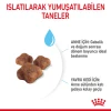 Royal Canin Mother & Babycat Yavru Kedi Maması 4 Kg