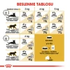 Royal Canin Persian Yetişkin Kedi Maması 2 Kg