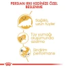 Royal Canin Persian Yetişkin Kedi Maması 4 Kg