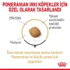 Royal Canin Pomeranian Adult Yetişkin Köpek Maması 3 Kg