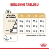Royal Canin Pomeranian Adult Yetişkin Köpek Maması 3 Kg