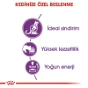 Royal Canin Sensible 33 Yetişkin Kedi Maması 2 Kg