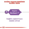 Royal Canin Sterilised 7+ Kısırlaştırılmış Yaşlı Kedi Maması 3.5 Kg