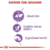Royal Canin Sterilised Jelly Pouch Kısırlaştırılmış Kedi Yaş Maması 85 Gr