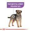 Royal Canin Sterilised Kısırlaştırılmış Köpek Yaş Maması 85 Gr