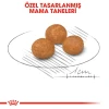Royal Canin X-Small Adult Yetişkin Köpek Maması 1.5 Kg
