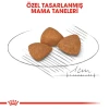 Royal Canin X-Small Ageing +12 Yaşlı Köpek Maması 1.5 Kg