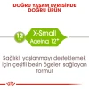 Royal Canin X-Small Ageing +12 Yaşlı Köpek Maması 1.5 Kg