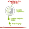 Royal Canin X-Small Ageing +12 Yaşlı Köpek Maması 1.5 Kg