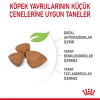 Royal Canin X-Small Puppy Yavru Köpek Maması 3 Kg