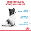 Royal Canin X-Small Puppy Yavru Köpek Maması 3 Kg