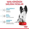 Royal Canin X-Small Puppy Yavru Köpek Maması 3 Kg