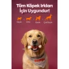 Zampa Dana Eti Sargılı Kemik Köpek Ödülü 75 Gr
