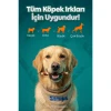 Zampa Kuzu Eti Sargılı Muchy Stick Çubukları Köpek Ödülü 75 Gr