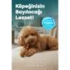Zampa Kuzu Eti Sargılı Muchy Stick Çubukları Köpek Ödülü 75 Gr