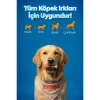 Zampa Ördek Etli But Köpek Ödülü 75 Gr