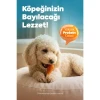 Zampa Ördek Etli But Köpek Ödülü 75 Gr