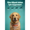 Zampa Ördek Etli Dambıl Köpek Ödülü 75 Gr