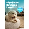 Zampa Ördek Etli Dambıl Köpek Ödülü 75 Gr
